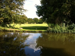 Meadow beside canal